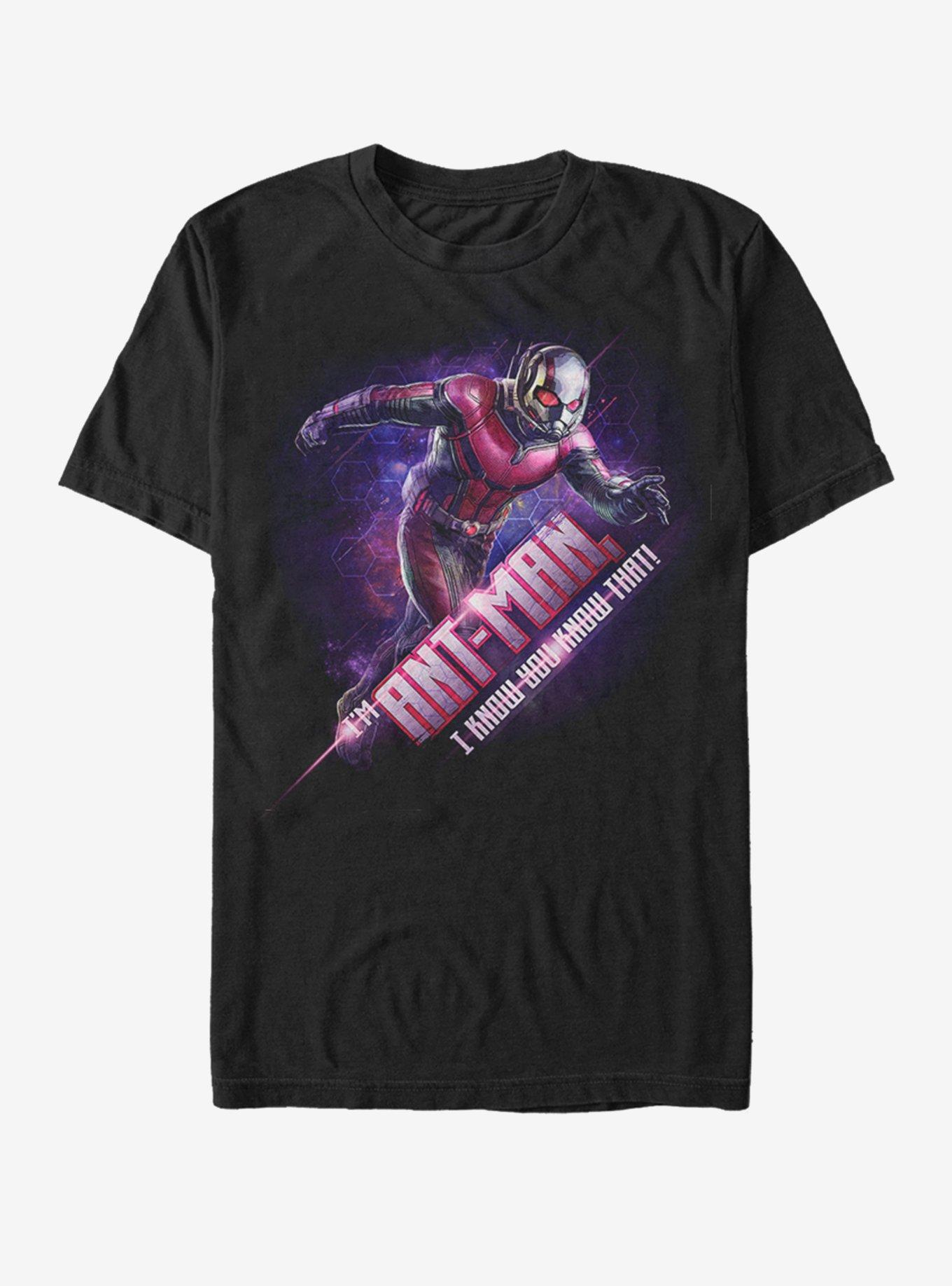 Marvel Avengers Endgame Ant-Man Hex T-Shirt