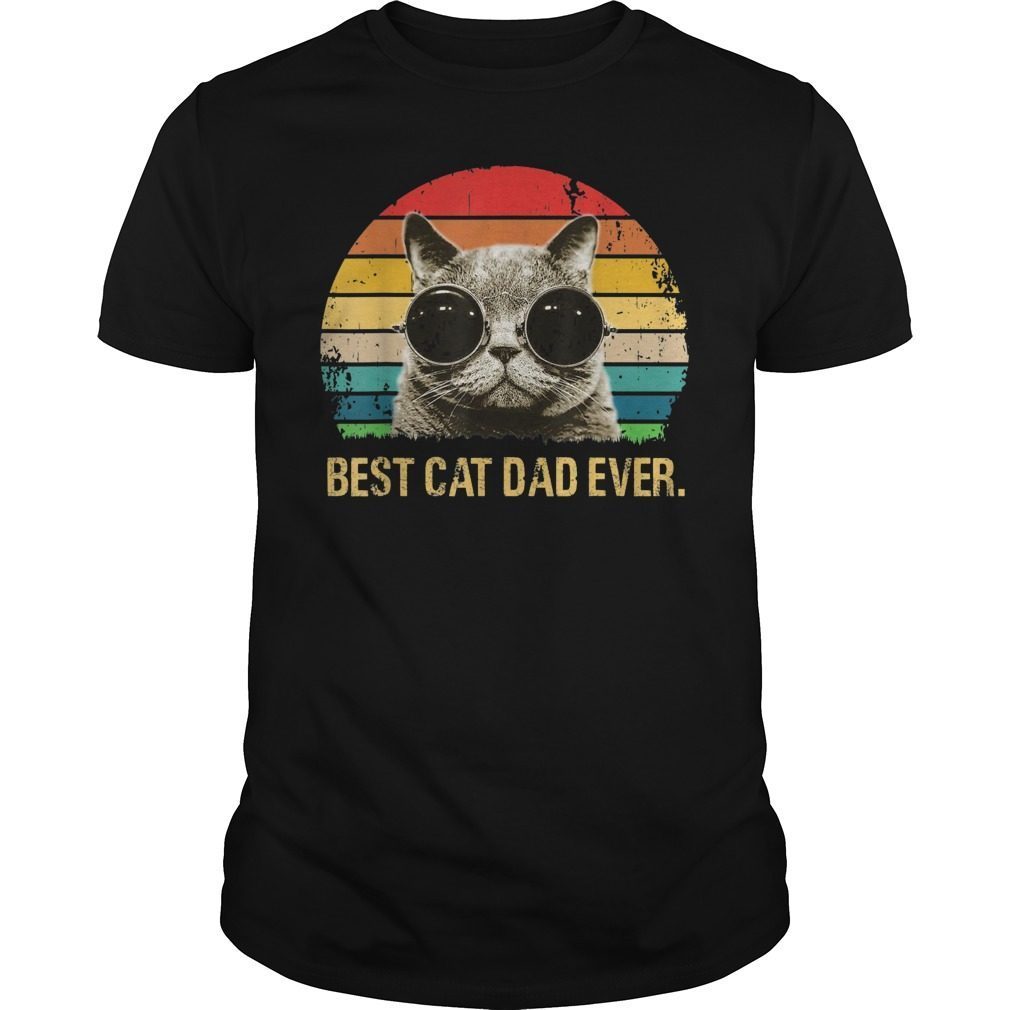 Retro Vintage Sunset Best Cat Dad Ever Cat Daddy Tee